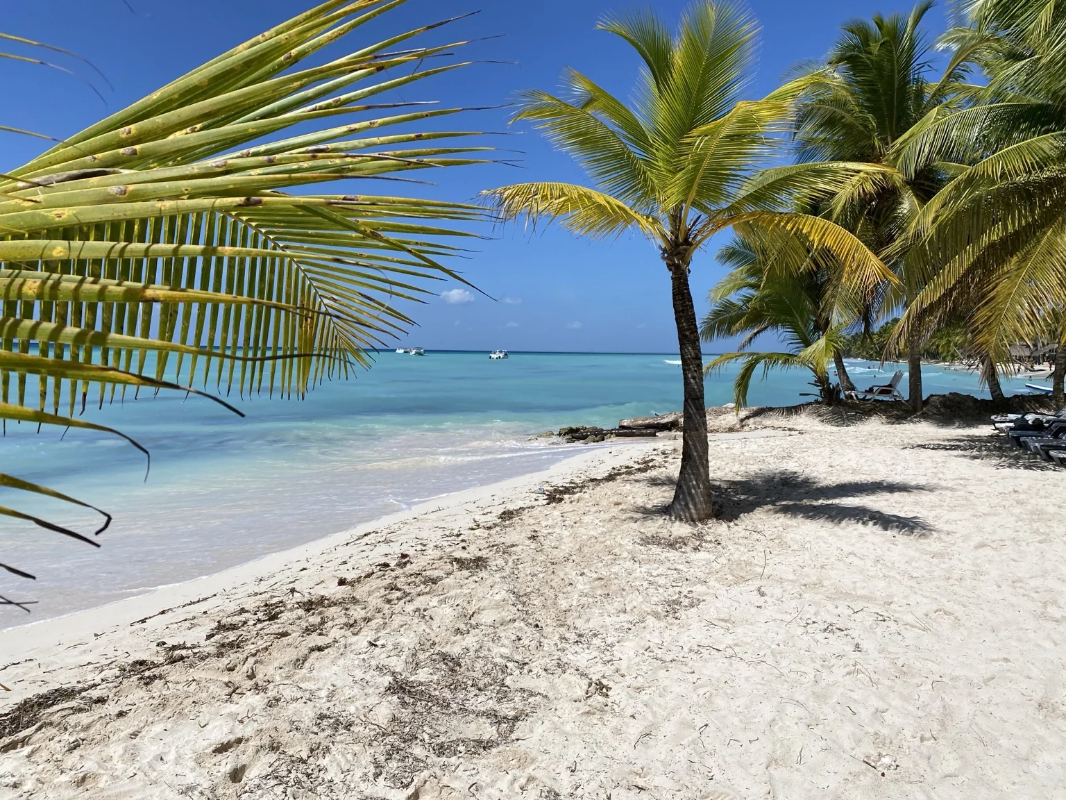 Bayahibe