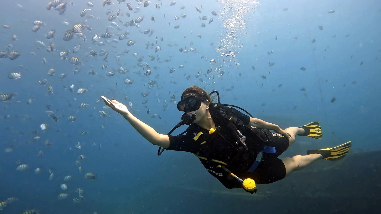 Scuba Diving image