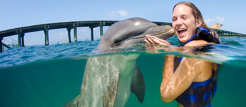 Dolphin Encounter