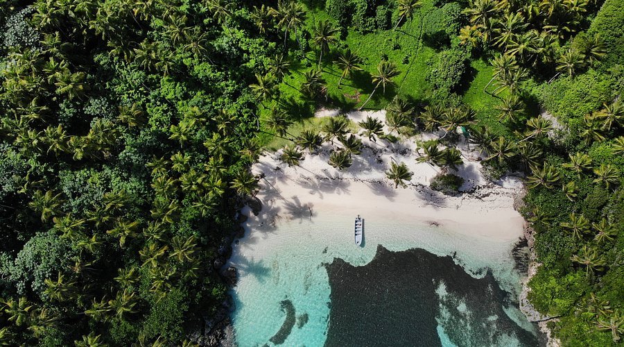 Cayo Levantado, Salto Del Limon and Whales - Seasonal